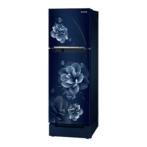 Double Door Refrigerator Service